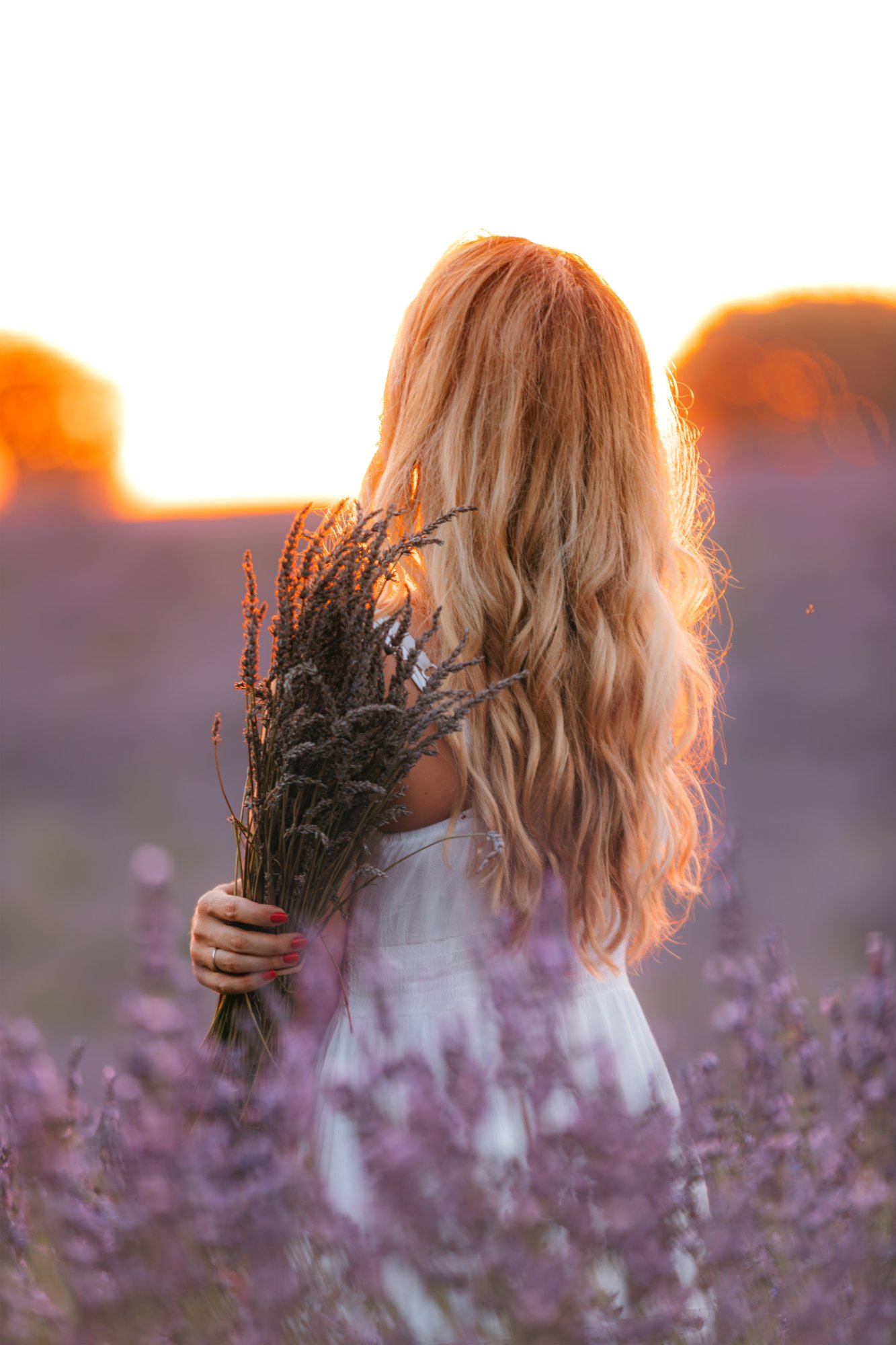 Woman in a lavender field in Orange looking ahead after her divorce